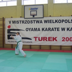 Mistrzostwa Wielkopolski w Kata - Turek 2007