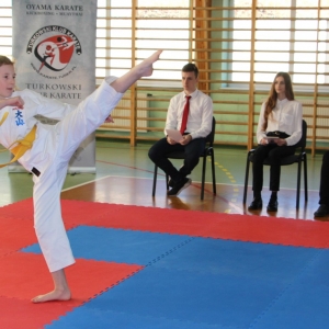 Regionalny turniej Oyama Karate w Kłodawie