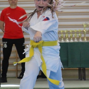 Wielkopolski Turniej Oyama Karate