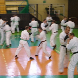 Trening z Shigeru Oyama 2005 (4)