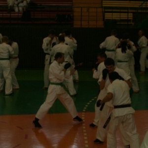 Trening z Shigeru Oyama 2005 (8)