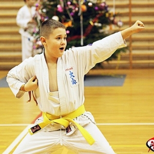 Rodzinne Mikolajki z OYAMA Karate 2013 (3)