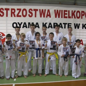 Mistrzostwa Wielkopolski w Kata - Kłodawa 2014 (15)