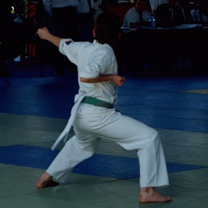 Mistrzostwa Polski Oyama Karate w Kata - Wrocław  (1)
