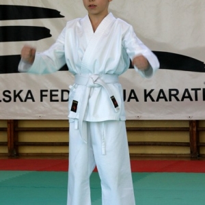Mistrzostwa Wielkopolski w Kata - Turek 2007 (10)