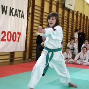 Mistrzostwa Wielkopolski w Kata - Turek 2007 (18)