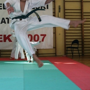 Mistrzostwa Wielkopolski w Kata - Turek 2007 (24)