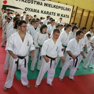 Mistrzostwa Wielkopolski w Kata - Turek 2007 (33)
