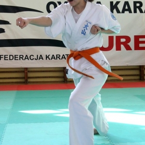 Mistrzostwa Wielkopolski w Kata - Turek 2007 (38)
