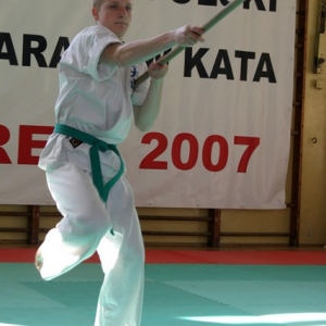 Mistrzostwa Wielkopolski w Kata - Turek 2007 (40)