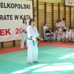 Mistrzostwa Wielkopolski w Kata - Turek 2007 (99)