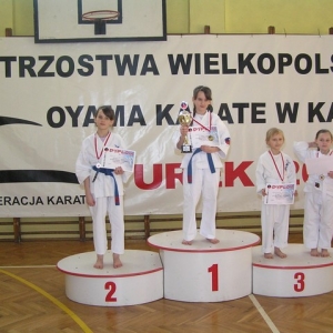 Mistrzostwa Wielkopolski w Kata - Turek 2007 (105)