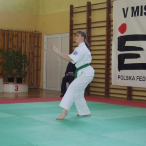Mistrzostwa Wielkopolski w Kata - Turek 2007 (130)