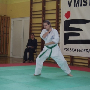 Mistrzostwa Wielkopolski w Kata - Turek 2007 (132)