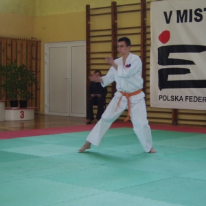Mistrzostwa Wielkopolski w Kata - Turek 2007 (135)