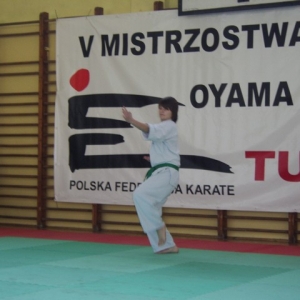 Mistrzostwa Wielkopolski w Kata - Turek 2007 (139)