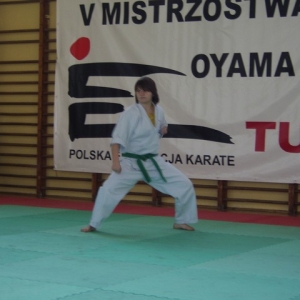 Mistrzostwa Wielkopolski w Kata - Turek 2007 (140)