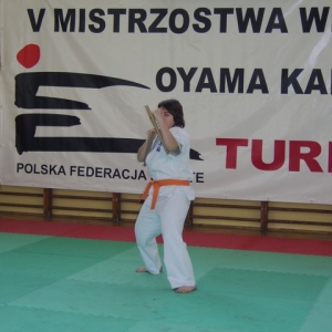 Mistrzostwa Wielkopolski w Kata - Turek 2007 (148)