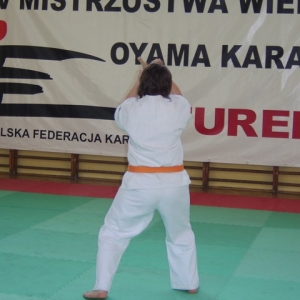 Mistrzostwa Wielkopolski w Kata - Turek 2007 (149)