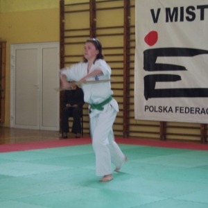 Mistrzostwa Wielkopolski w Kata - Turek 2007 (156)