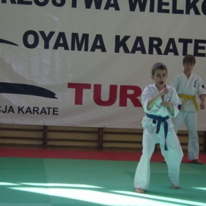 Mistrzostwa Wielkopolski w Kata - Turek 2007 (171)