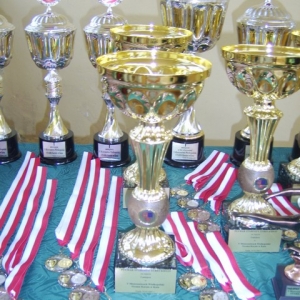Mistrzostwa Wielkopolski w Kata - Turek 2007 (183)