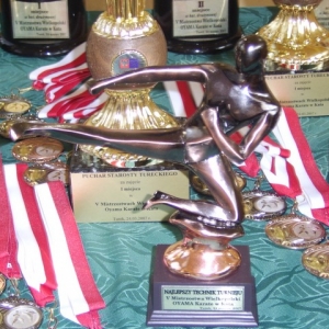 Mistrzostwa Wielkopolski w Kata - Turek 2007 (184)