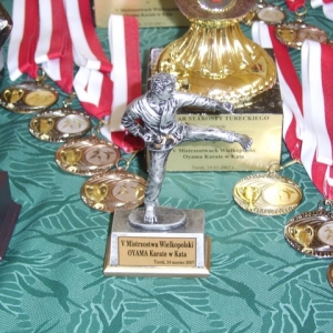 Mistrzostwa Wielkopolski w Kata - Turek 2007 (185)