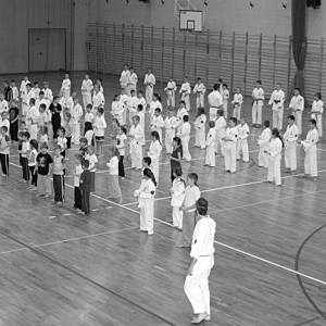 Egzamin Oyama Karate 2010 (11)