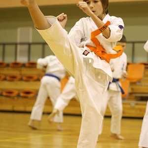 Egzamin Oyama Karate 2010 (15)