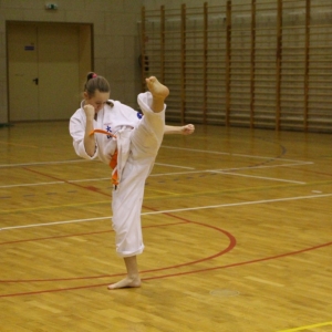 turniej_mikolajkowy_oyama_karate_2015 (5)