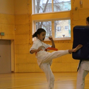 Pokaz oraz trening z zakresu Oyama Karate