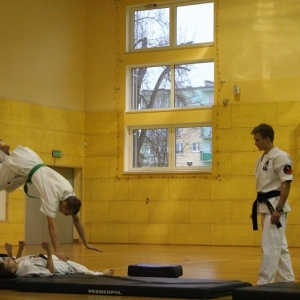 Pokaz oraz trening z zakresu Oyama Karate (8)