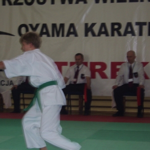 Mistrzostwa Wielkopolski Turek 2008