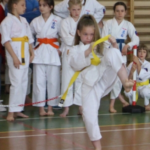 xxvi-ogolnopolski-turniej-oyama-karate-w-kata (8)