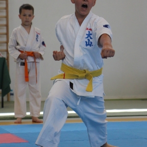 Wielkopolski Turniej Oyama Karate 2021 (23)