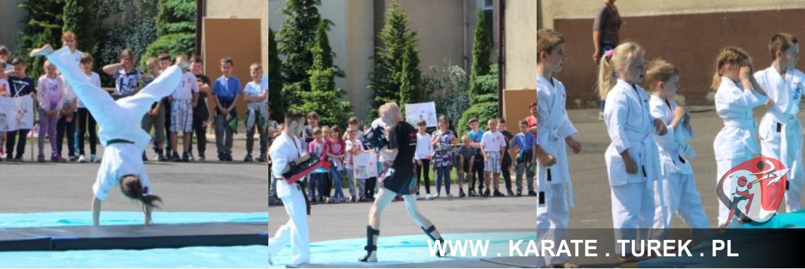 Pokaz w&nbsp;Dąbiu